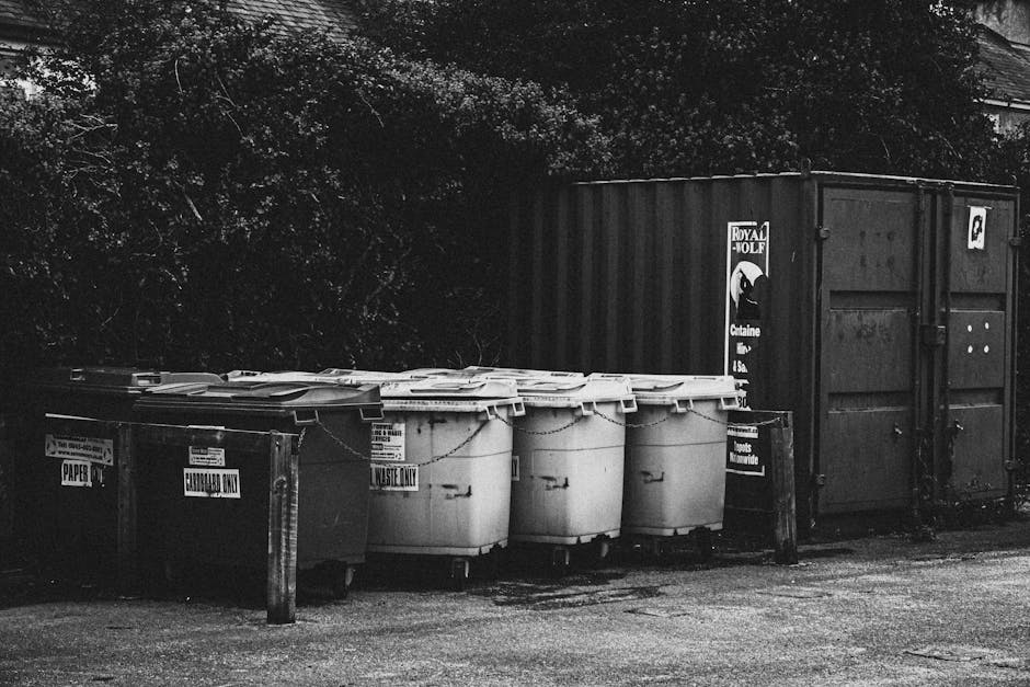 A row of several large wheelie bins and a black outdoor waste container positioned on a paved area near the side of a property in Totteridge, Barnet. The waste bins are made of plastic, with some labeled for recyclable materials such as paper and general waste, secured with lids. The black container appears to be for commercial or large waste disposal. Behind the bins, there is dense foliage and trees, indicating an outdoor environment adjacent to the property. The scene is in black and white, with natural daylight illuminating the concrete ground and the containers. This setup reflects a typical waste collection area, which [COMPANY_NAME] may handle during home relocation or moving services, ensuring that waste disposal and packing materials are managed efficiently in the context of a house move or furniture transport.